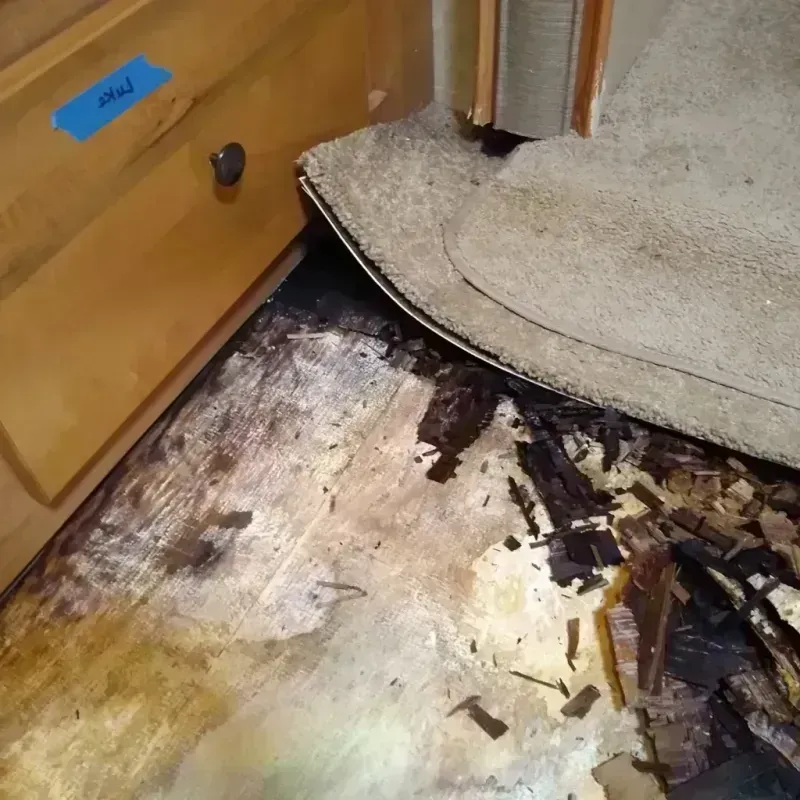 Best Wood Floor Water Damage Service in Clancy, MT